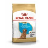 Royal Canin Breed Health Nutrition Poodle Tüm Irklar Yavru Kuru Köpek Maması 3 kg