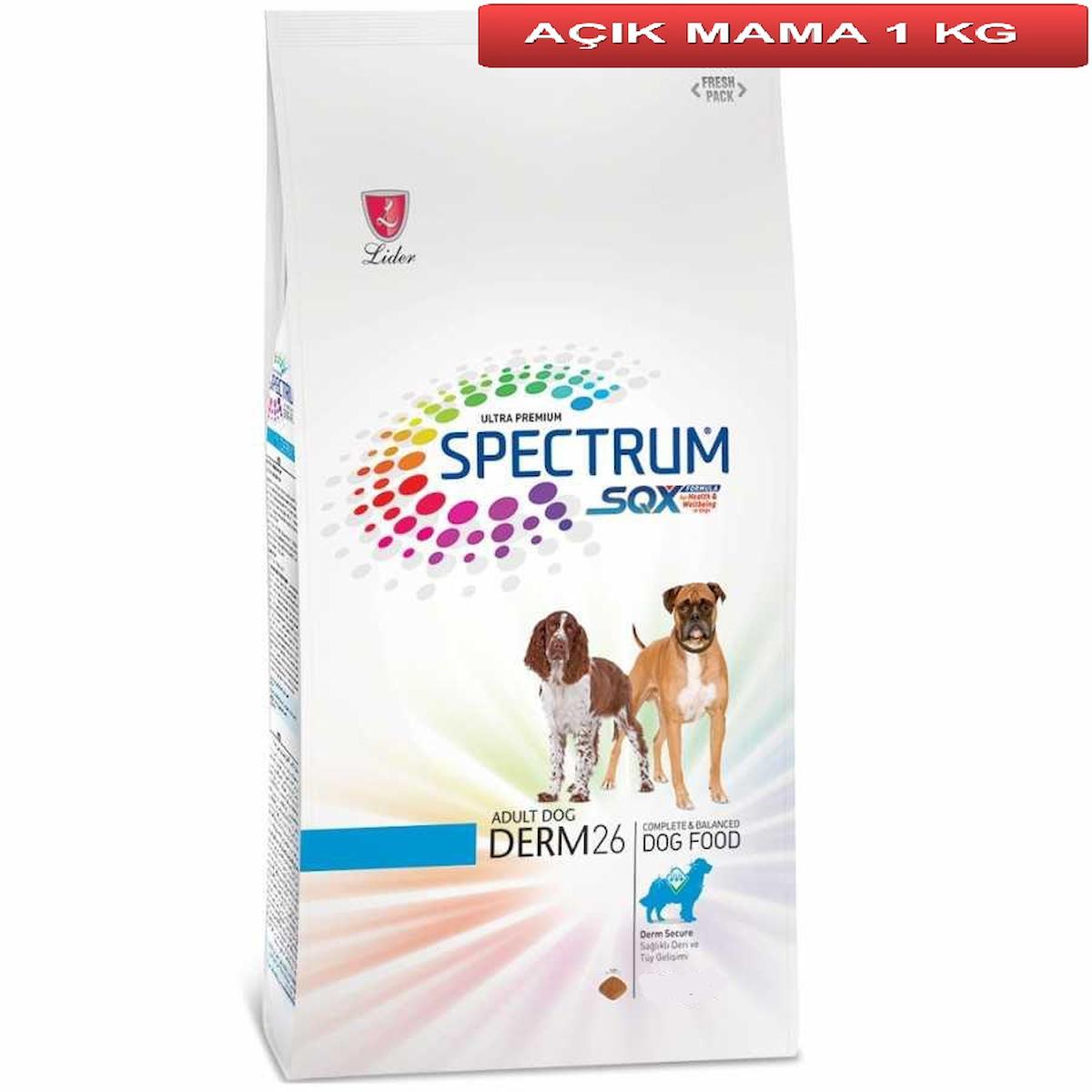 Spectrum Derm 6 Balıklı Tüm Irklar Yetişkin Kuru Köpek Maması 1 kg