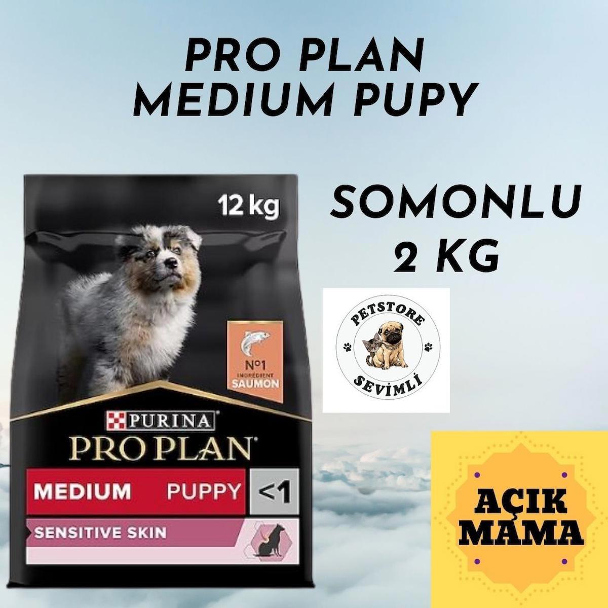 Pro Plan Sensitive Skin Pirinçli ve Somonlu Orta Irk Yetişkin Kuru Köpek Maması 2 kg