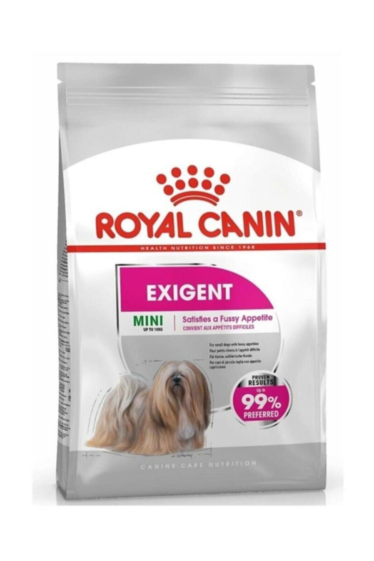 Royal Canin Exigent Küçük Irk Yetişkin Kuru Köpek Maması 3 kg