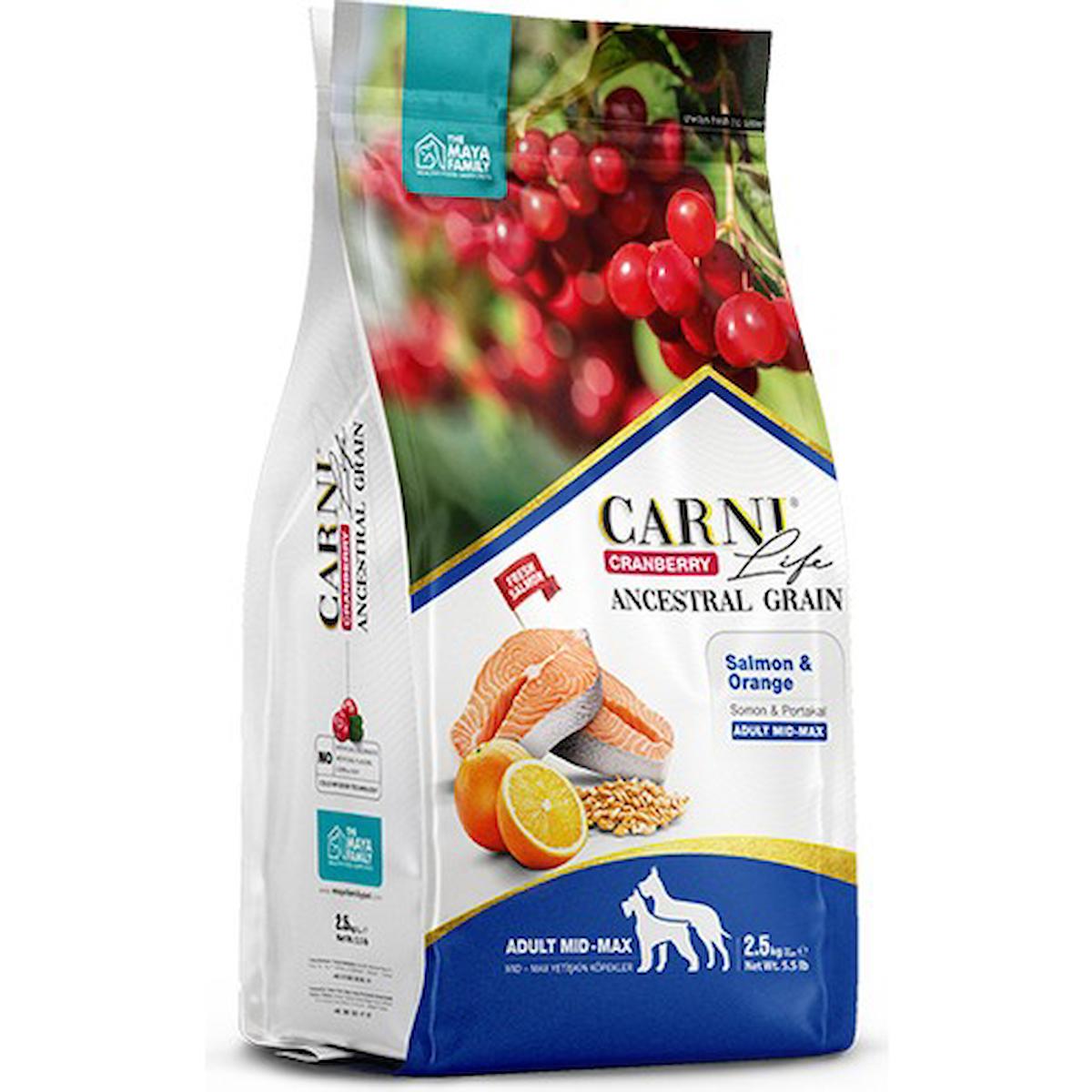 Carni Life Cranberry Somonlu Büyük ve Orta Irk Yetişkin Kuru Köpek Maması 12 kg