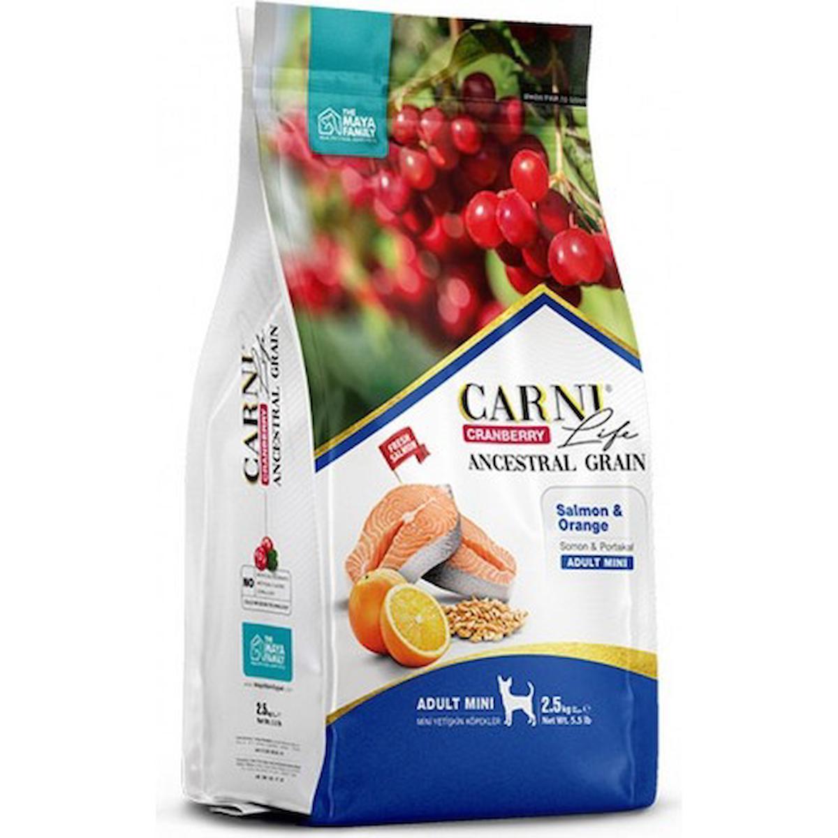 Carni Life Cranberry Portakal ve Somonlu Mini Irk Yetişkin Kuru Köpek Maması 2.5 kg
