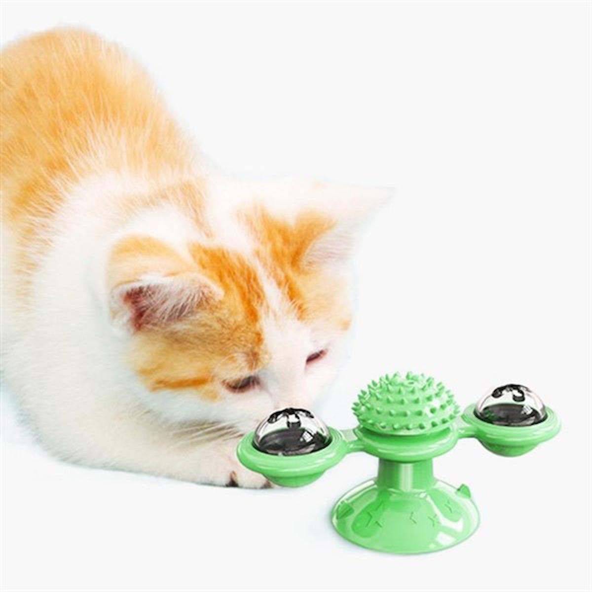 Buffer Vantuzlu Diş Kaşıma Yavru-Yetişkin Top Kedi Oyuncağı