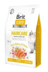 Brit Care Grain Free Hair Care Healthy & Shiny Coa Somonlu Tavuklu Yetişkin Kuru Kedi Maması 2 kg