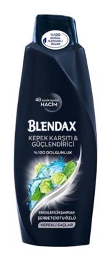 Blendax Men Kepek Karşıtı Şampuan 500 ml