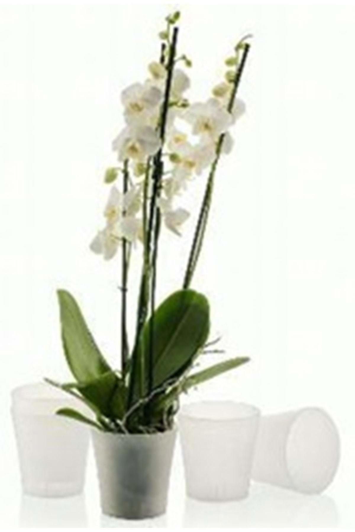 Poliwork Plastik Yuvarlak Orkide Saksı Şeffaf