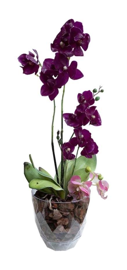 Royaleks Yakamoz 2.4 lt Plastik Yuvarlak Orkide Saksı Şeffaf