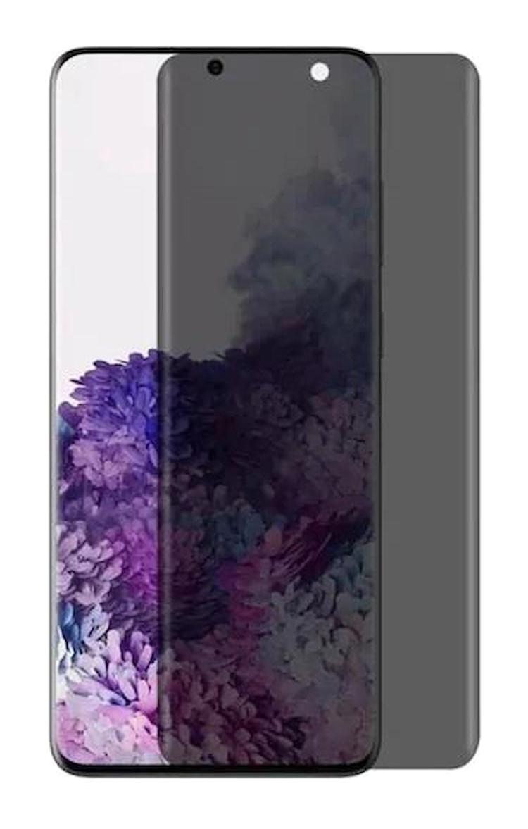 Blue Case Samsung Galaxy S21 Ultra Hayalet Ekran Koruyucu