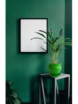 Evdek Tabaklı Çömlek Yuvarlak Saksı 19x19 cm Yeşil