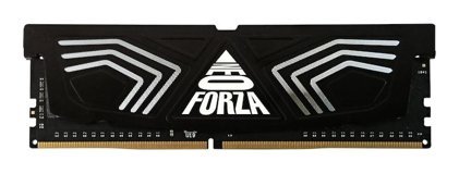 Neo Forza NMUD416E82-3200DB11 16 GB DDR4 1x16 3200 Mhz Ram