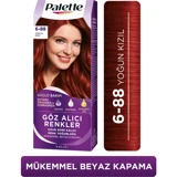 Palette 6.88 Yoğun Kızıl Krem Saç Boyası 50 ml