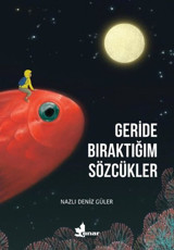 Geride Bıraktığım Sözcükler Nazlı Deniz Güler Çınar Yayınları