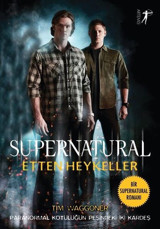 Supernatural - Etten Heykeller Tim Waggoner Artemis Yayınları