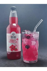 Gold Gull Berry Hibiscus Aromalı Kahve Şurubu 700 ml