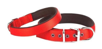 Doggie Comfort Ayarlanabilir Boyun Köpek Tasması 2.5 x 42 - 50 cm Kırmızı