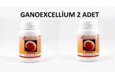 Gano Excellium Aromasız Yetişkin Vitamin 2x90 Kapsül