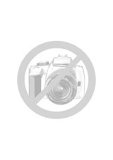 Dahua Hdw1200tmq Analog 1 Kameralı 360 Derece Dönen Gece Görüşlü İç Dış Mekan Kablosuz Güvenlik Kamerası