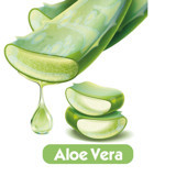 Baby Turco Aloe Vera 2160 Yaprak 24'lü Islak Mendil