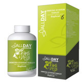 AllDay Yetişkin Kedi Vitamini Şurup 100 ml