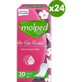 Molped Her Gün Ferahlık Parfümsüz Organik 24 Adet 20'li Normal Günlük Ped