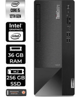 Lenovo Thinkcentre Neo 50T 11SE00BJTXP331 Harici GeForce RTX 3060 Ti Intel Core i5 12400 36 GB Ram 256 GB SSD Tower FreeDos Masaüstü Bilgisayar + PER4 BELLEK