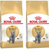 Royal Canin British Shorthair Karışık Tahıllı Yetişkin Kuru Kedi Maması 2x2 kg