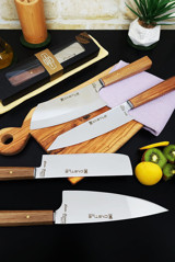 CASTLE KITCHEN Elite Serisi 4'lü Mutfak Bıçak Seti Şef Bıçağı ( Kiritsuke - Santakubig - Nakiri - Miyabi )