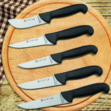 Incisive Serisi 5 Parça Mutfak Bıçak Seti Et Ekmek Sebze Meyve Bıçak