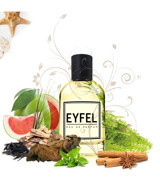 Eyfel M65 Ferah-Odunsu Erkek Parfüm 100 ml