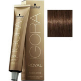 Schwarzkopf Igora Royal Absolutes 8.60 Açık Kumral Çikolata Doğal Krem Saç Boyası 60 ml