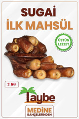 Taybe İlk Mahsül Medine Sugai Hurması 2 kg