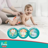 Prima Maxi Fırsat Paketi 4 Numara Külot Bebek Bezi 72 Adet