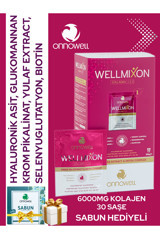 Onnowell Wellmıxon Collagen Sıvı Kolajen