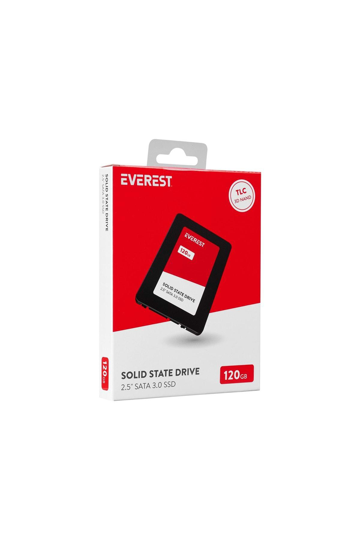 Everest ES120SH 120 GB M2 SSD