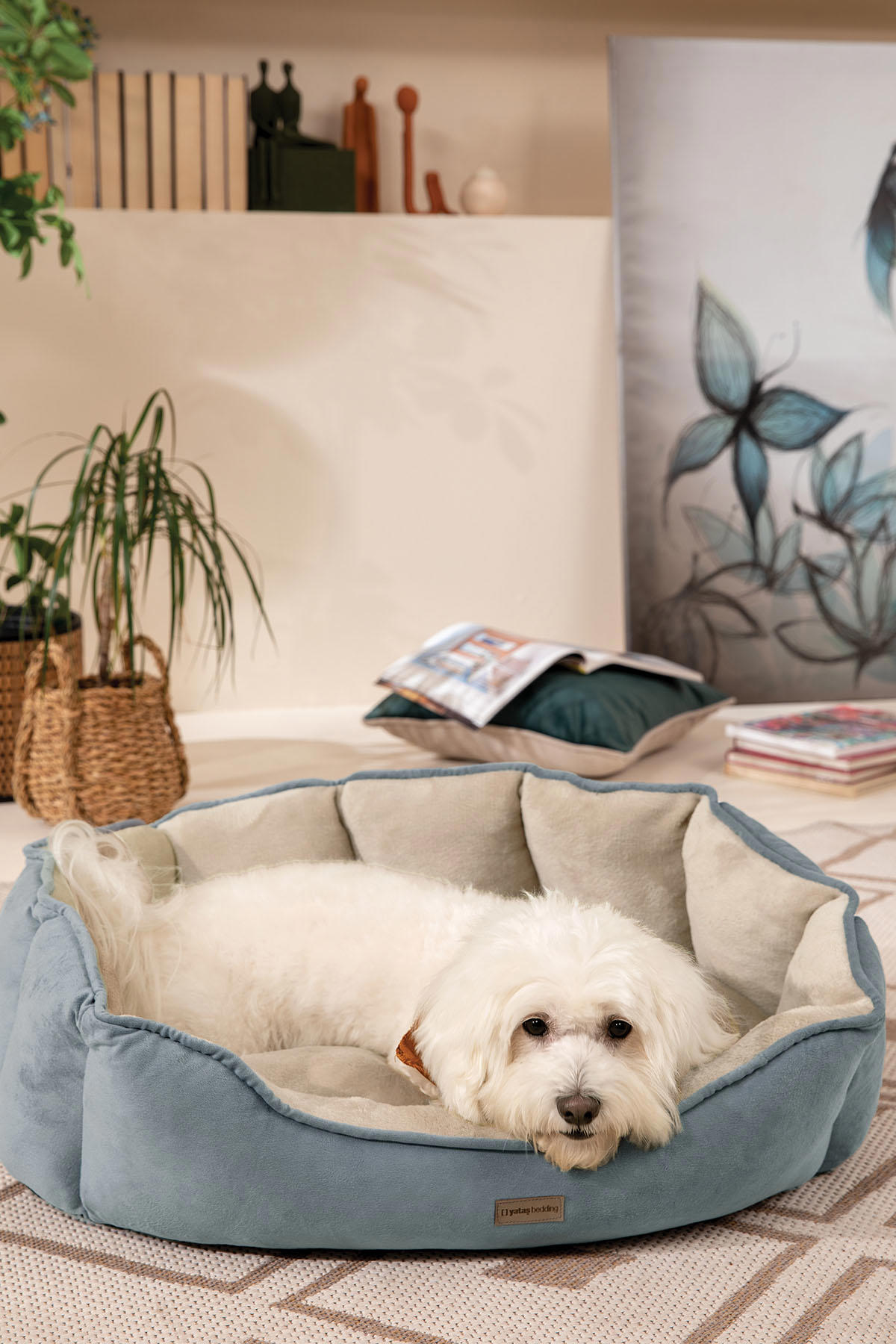 Yataş Orta Irk İç Mekan Köpek Yataştağı Krem-Mavi