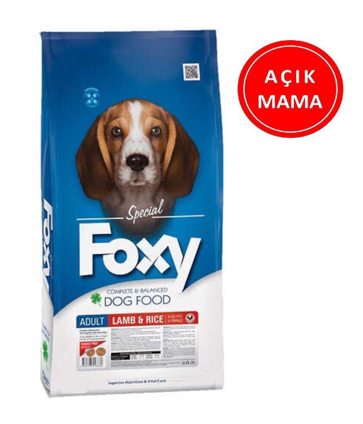Foxy Special Kuzu Etli Tüm Irklar Yetişkin Kuru Köpek Maması 1 kg