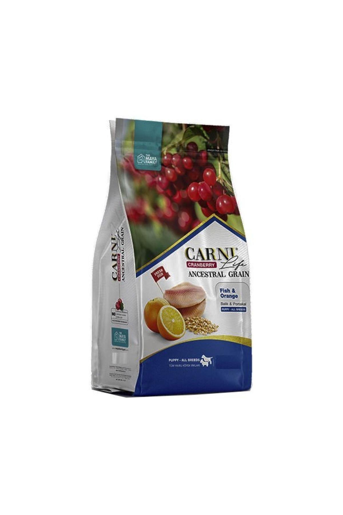 Carni Life Cranberry Balıklı ve Portakallı Tüm Irklar Yavru Kuru Köpek Maması 12 kg