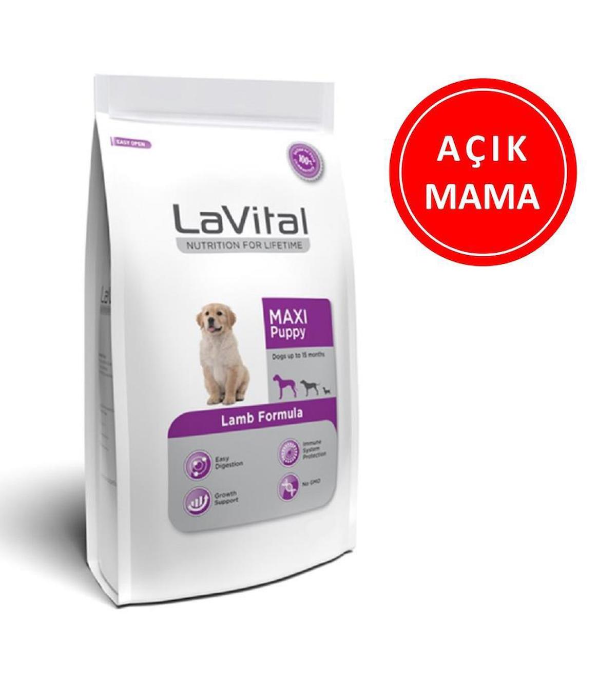 Lavital Maxi Kuzu Etli Tüm Irklar Yavru Kuru Köpek Maması 1 kg