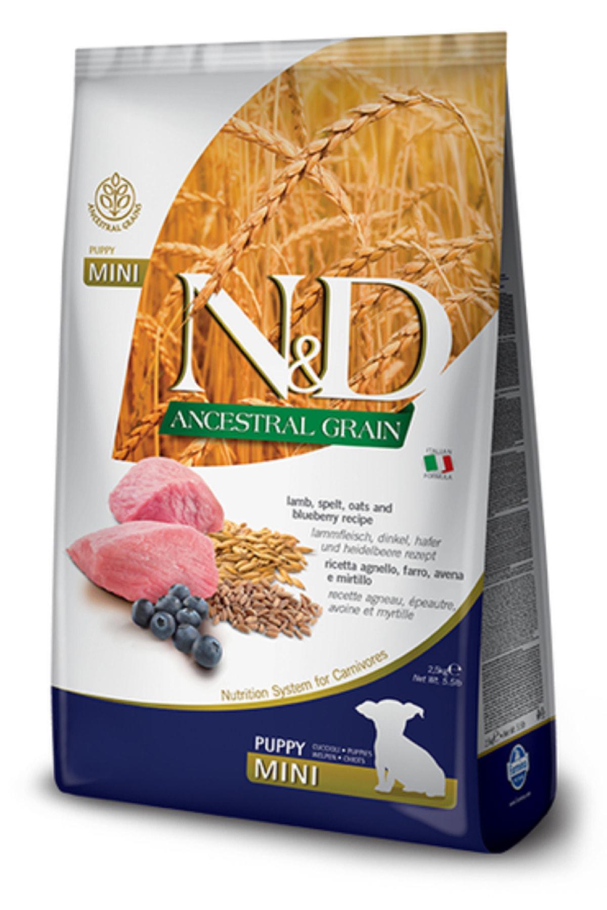 N&D Ancestral Grain Kuzu Etli ve Yaban Mersinli Mini Irk Yavru Kuru Köpek Maması 800 gr