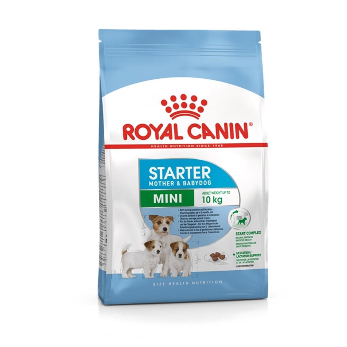 Royal Canin Starter Küçük Irk Anne ve Yavru Kuru Köpek Maması 3 kg