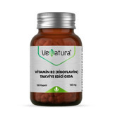 Venatura Vitamin B Aromasız Unisex 100 Kapsül