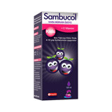Sambucol Kara Mürver Çocuk Vitamin 120 ml