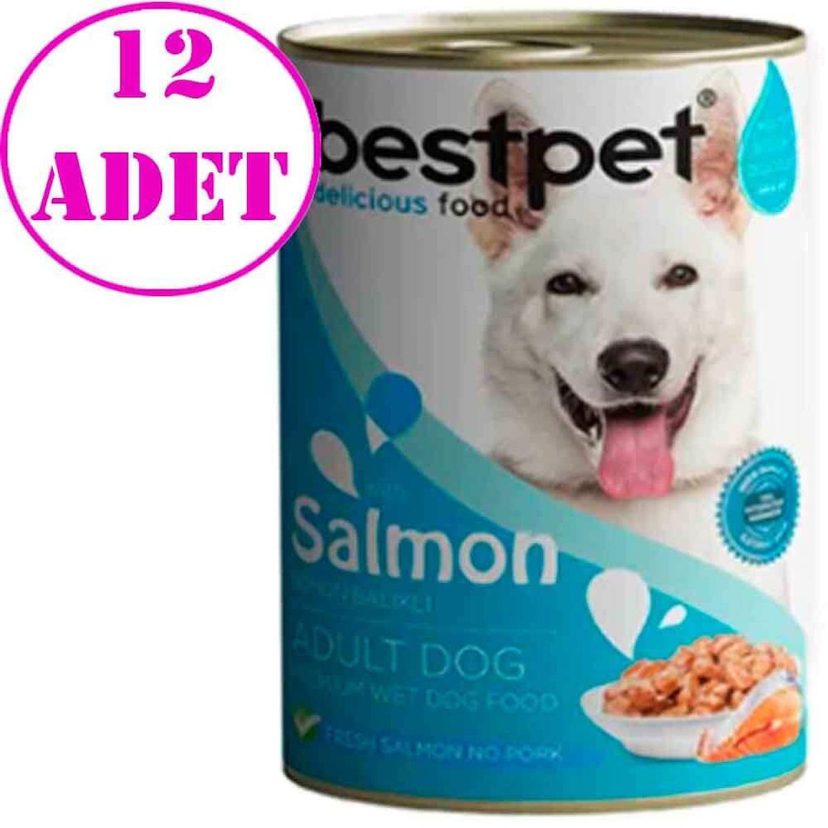 Bestpet Premium Wet Dog Food Somonlu Soslu Yetişkin Yaş Köpek Maması 400 gr 12'li