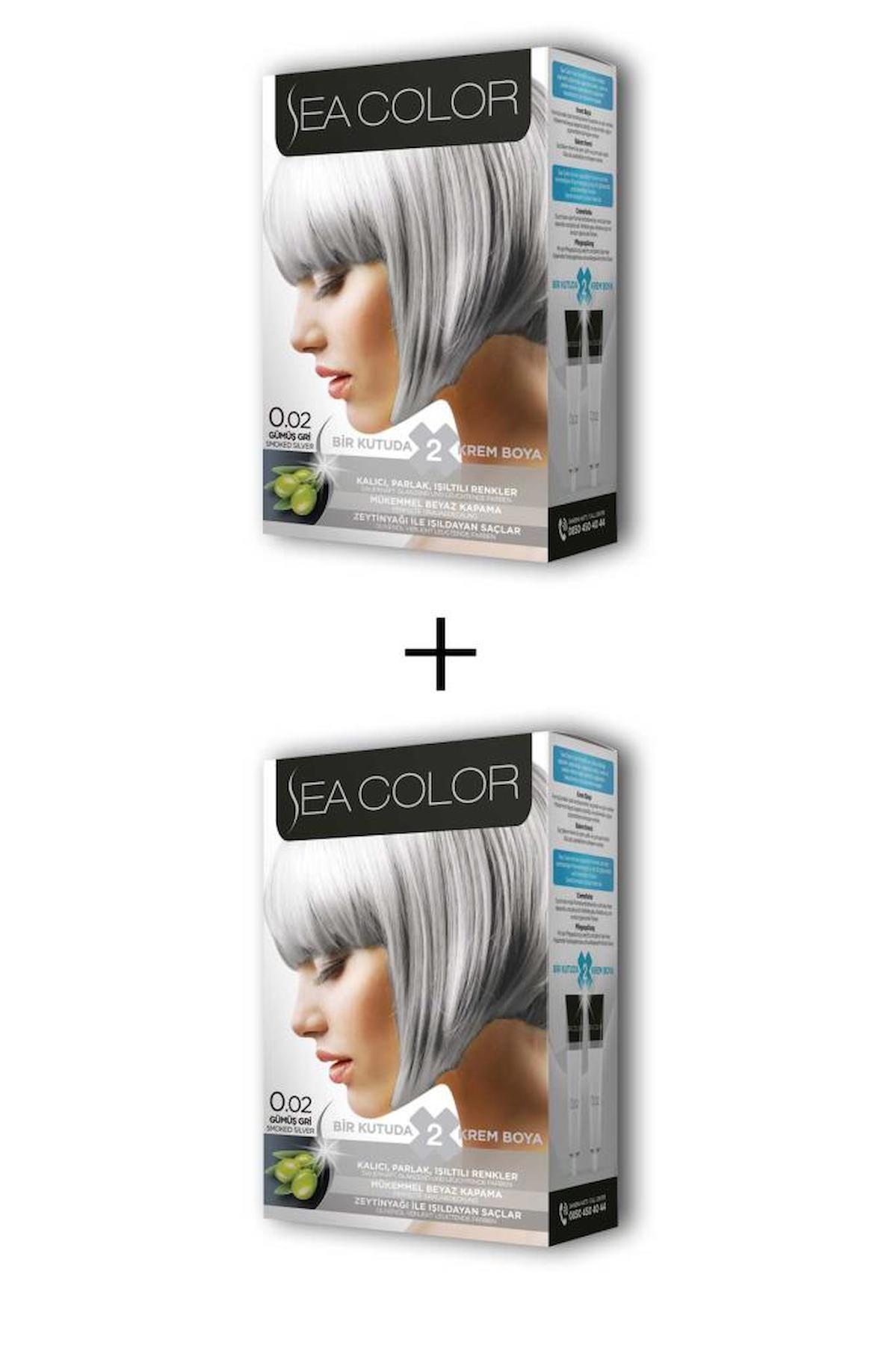 Sea Color 0.02 Gümüş Gri Krem Saç Boyası