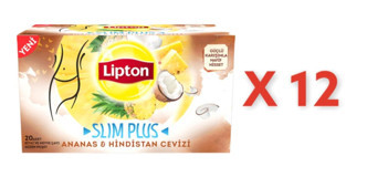 Lipton Ananas - Hindistan Cevizi Bitki Çayı 12 x 20 adet