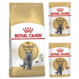 Royal Canin British Shorthair Kümes Hayvanı Yetişkin Kuru Kedi Maması 2x2 kg
