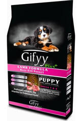 Gifyy Premium Kuzu Etli Yavru Kuru Köpek Maması 15 kg