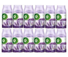 Febreze Lavanta Oda Kokusu 12x250 ml