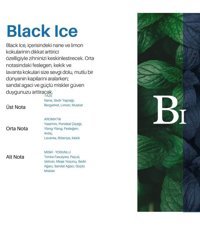 Carpex Black Ice Oda Kokusu 220 ml