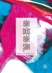 Bir Düş Bir Şiir Kolektif Ahbap Kitap